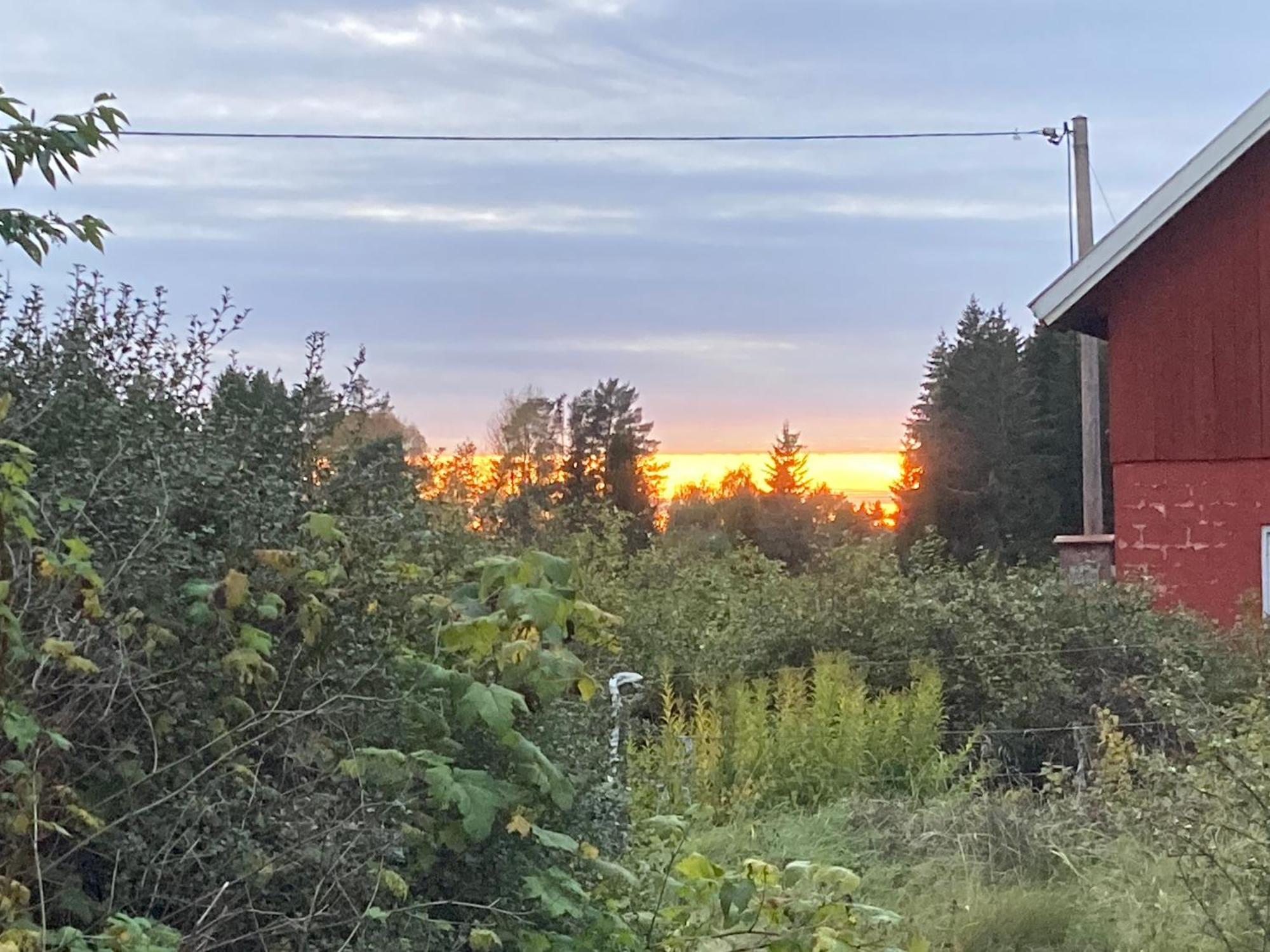 Egen Stuga Med Delat Badrum Norrtälje Buitenkant foto